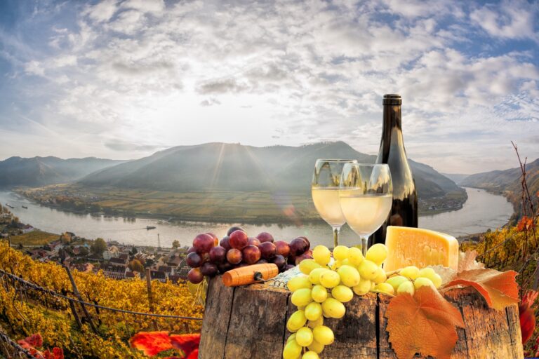 Best 3 Wineries in Ontario CA: Top Picks for Wine Lovers