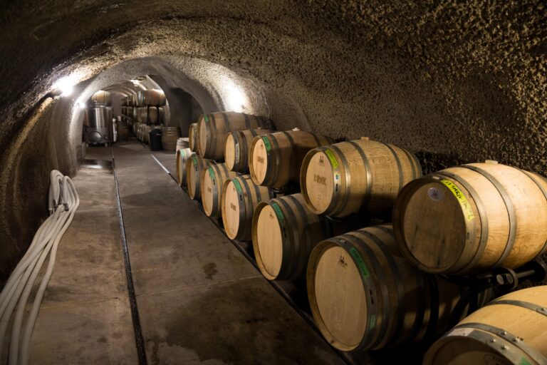 Best 17 Wineries in Sonoma CA: A Guide to the Finest Vineyards in the Region
