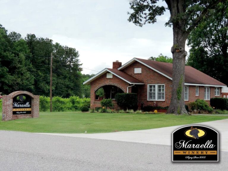 Best 4 Wineries in Alabama A Guide to the Finest Vineyards in the State TravelEnvoy