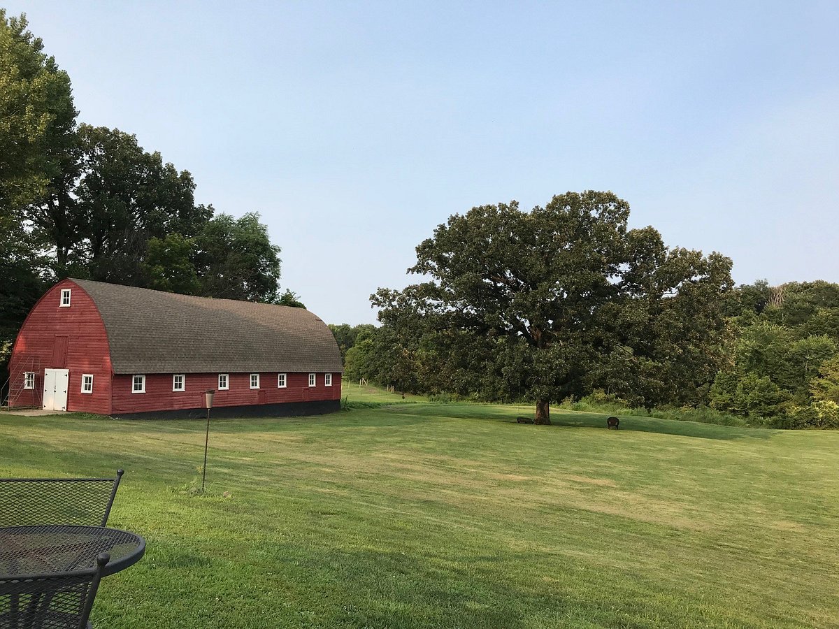 Best 4 Wineries in Alabama A Guide to the Finest Vineyards in the State TravelEnvoy