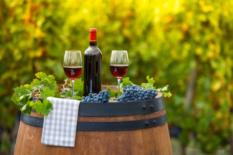 Best 6 Wineries in San Diego CA: A Guide to the Top Vineyards in the Area