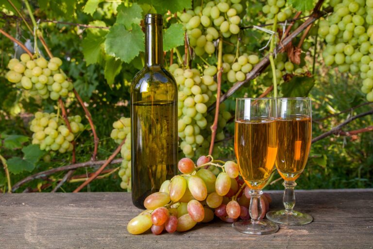 Best 10 Wineries in Plymouth CA: A Guide to the Top Tasting Rooms and Vineyards