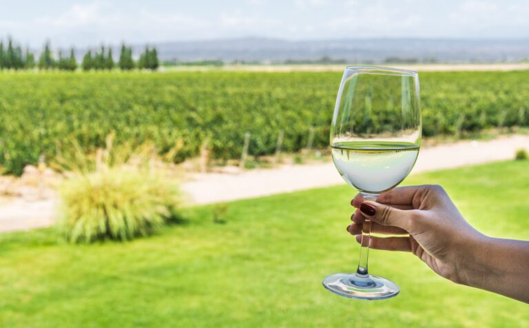 Best 7 Wineries in San Francisco CA: A Guide to the Top Vineyards in the City