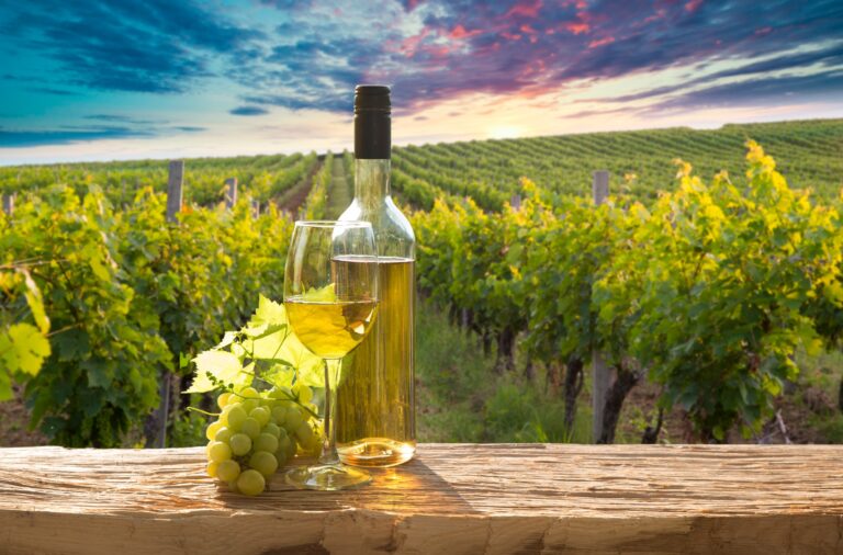 Best 6 Wineries in Livermore CA: Top Tasting Rooms and Vineyards to Visit