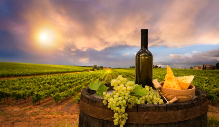 Best 5 Wineries in Southern California CA: Top 7 Vineyards to Visit