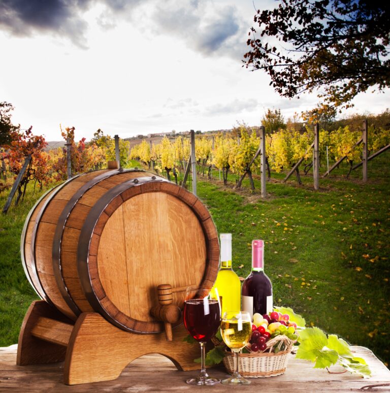 Best 6 Wineries in Lexington KY: A Guide to the Top Vineyards in the Area