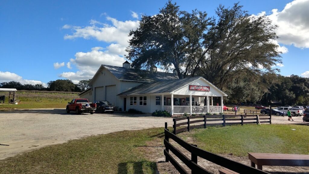 wine tasting tour orlando