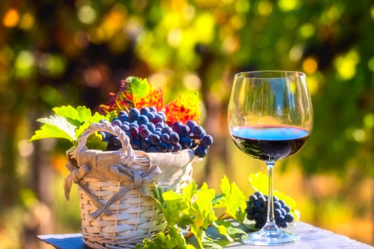 Best 8 Wineries in Leelanau Peninsula MI: A Guide to the Top Vineyards in the Region