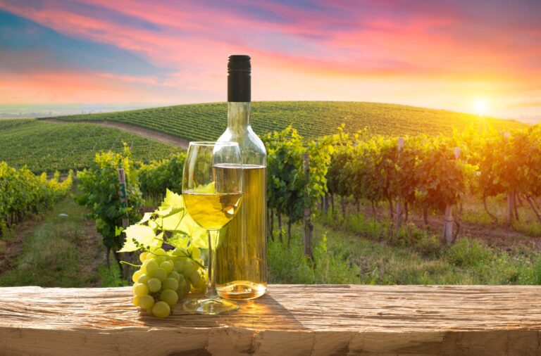 Best 11 Wineries in New Mexico: A Guide to the Top Vineyards in the State