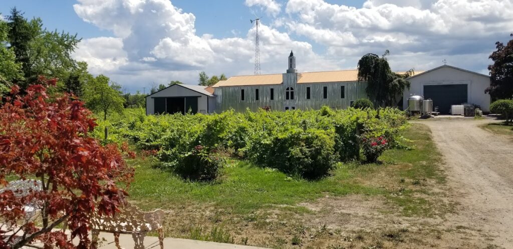 niagara falls ny wine tour