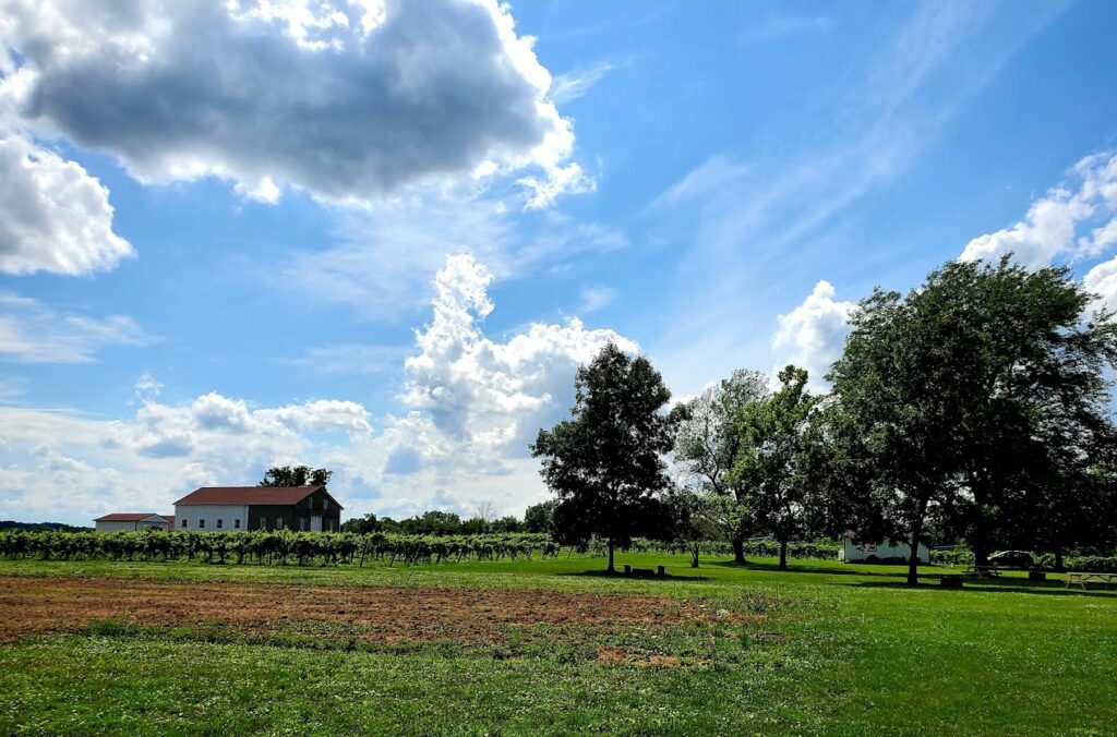 niagara falls ny wine tour