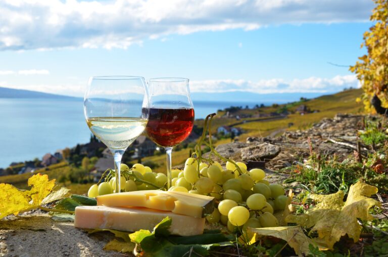 Best 15 Wineries in Missouri: Top Places to Savor Fine Wines