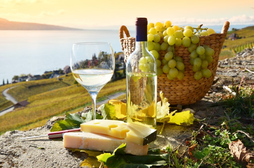 wine tasting tours new england