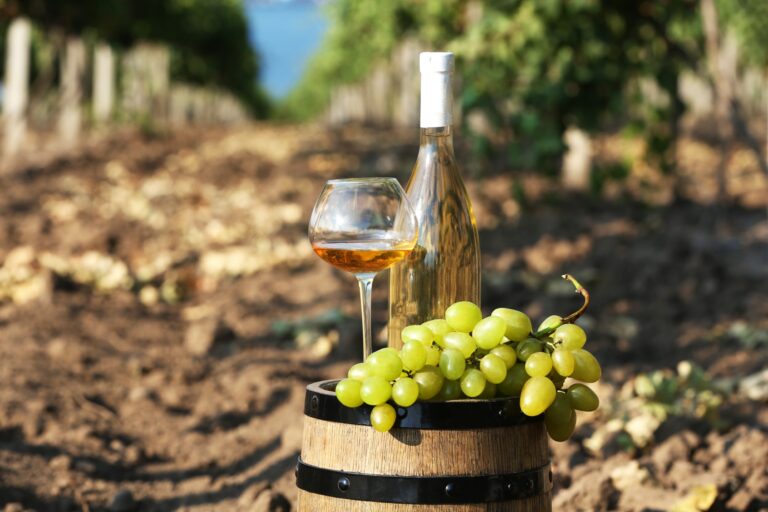 Best 14 Wineries in New Jersey: Top Places to Visit for Wine Tasting