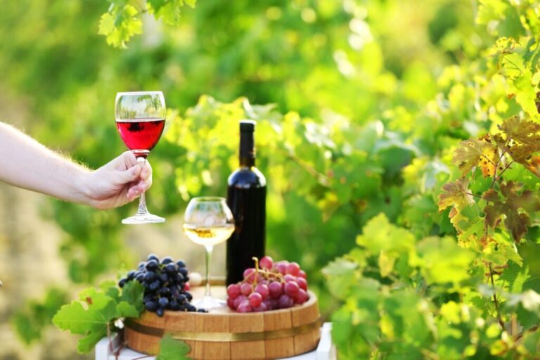 Best 8 Wineries in Hendersonville NC: A Guide to the Top Vineyards in the Area