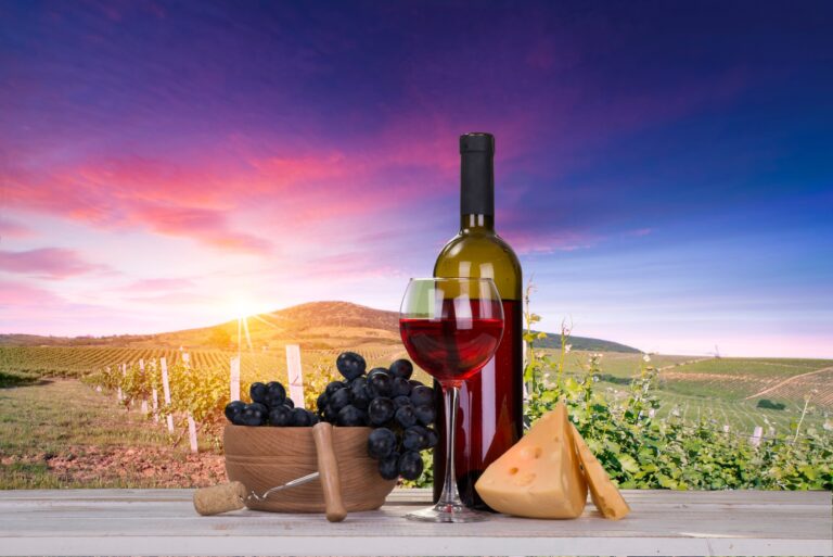 Best 11 Wineries in New Hampshire: Top Places to Savor Local Wines