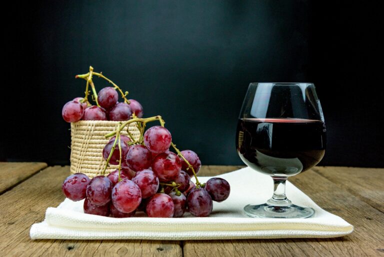 Best 5 Wineries in Las Cruces NM: A Guide to the Top Vineyards in the Area