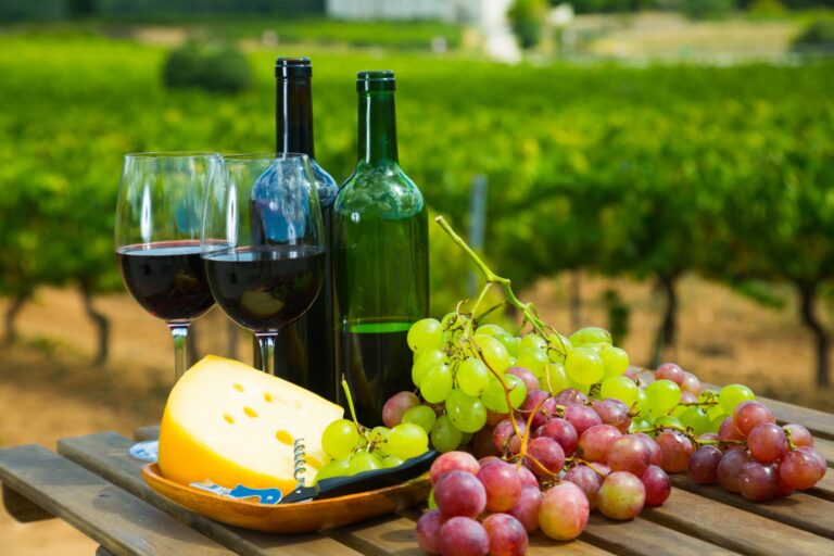 Best 9 Wineries in Asheville NC: A Guide to the Top Vineyards in the Area