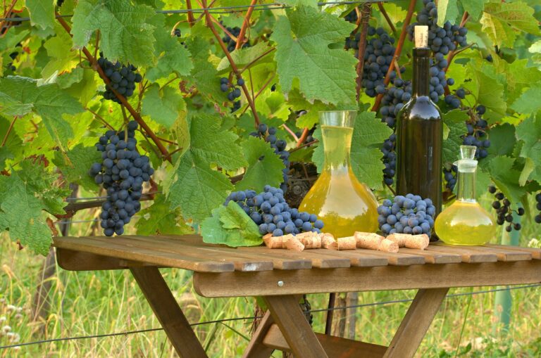 Best 14 Wineries in Kentucky: Top Picks for Wine Lovers