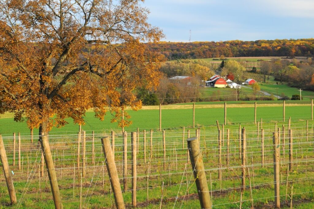 south jersey winery tours