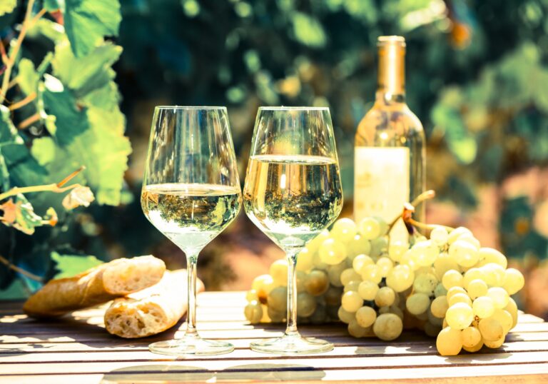 Best 13 Wineries in Pennsylvania: Top Picks for Wine Lovers