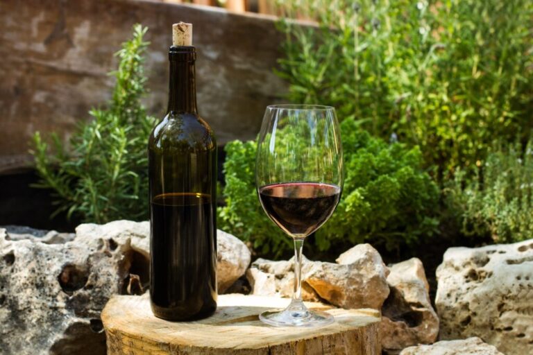 Best 5 Wineries in Gatlinburg TN: A Guide to Tasting the Finest Wines in the Smoky Mountains