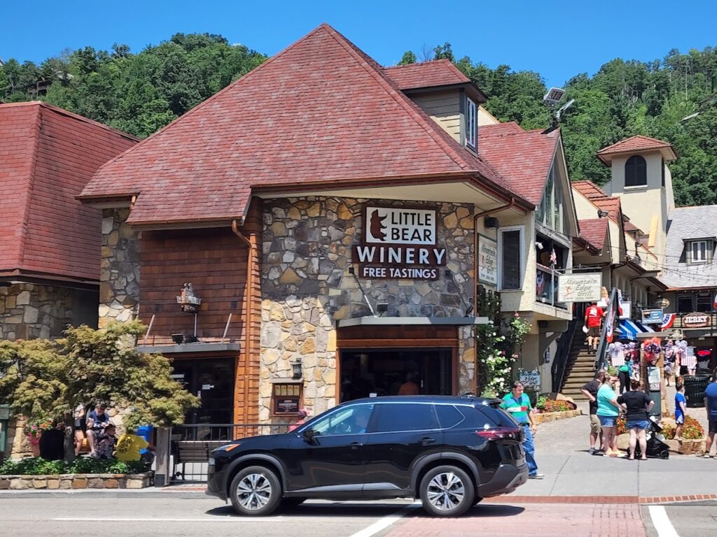 gatlinburg tn wine tour