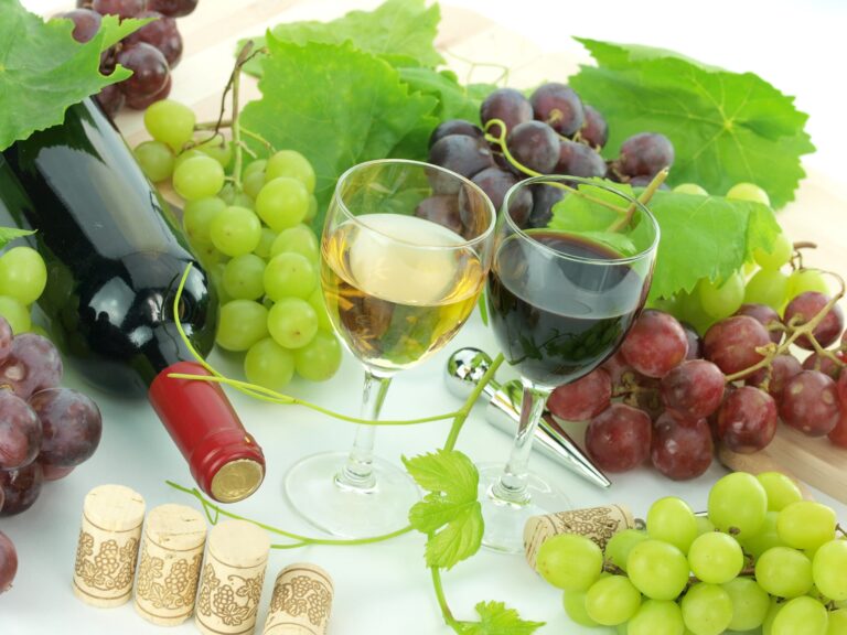 Best 5 Wineries in Lancaster PA: A Guide to the Top Vineyards in the Area