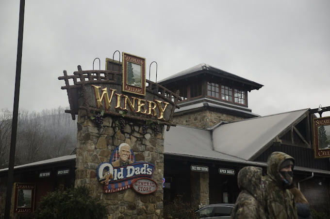 gatlinburg tn wine tour