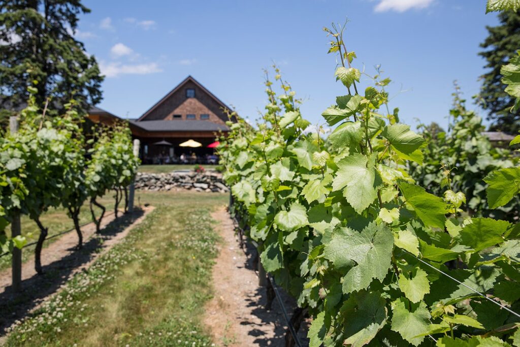 newport rhode island wine tours