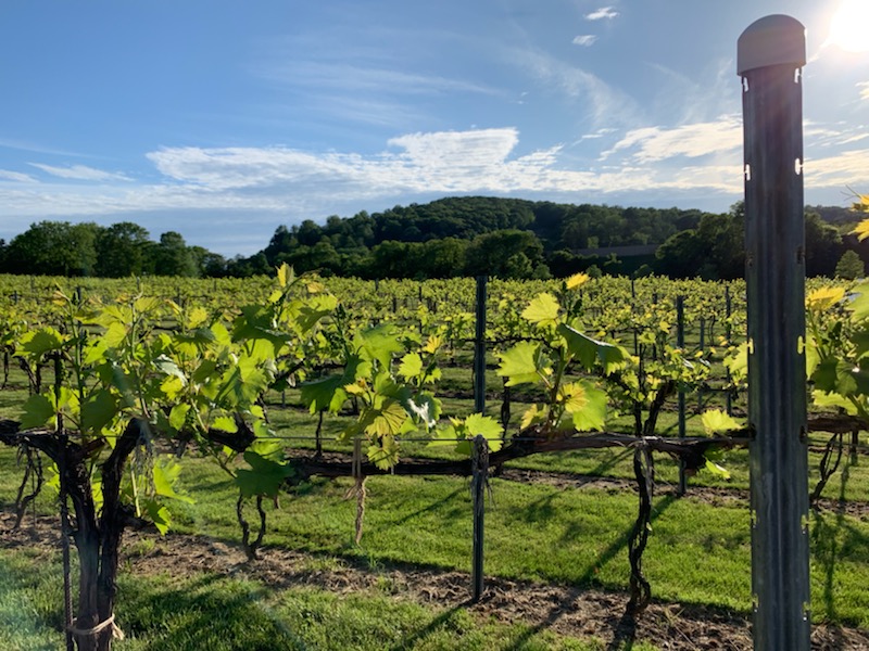 lehigh valley winery tours