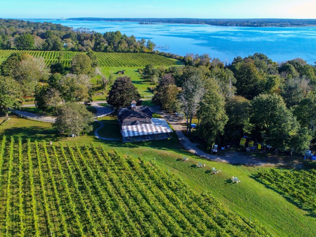 newport rhode island wine tours